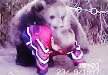  کشتی گرفتن حبیب با خرس! + فیلم
