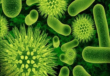 ویروس هایی که در تابستان به سراغ کودکان می آید