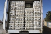 هزار و ۵۰۰ قطعه مرغ زنده قاچاق در تفت کشف شد
