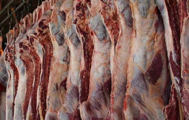 سالانه 17هزار تن گوشت قرمز و سفید در بروجرد تولید می شود