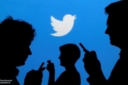 امکانات جدید توییتری برای مشترکینی که پول می دهند