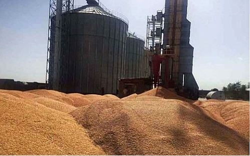 افتتاح سیلو 21 هزار تنی ذخیره گندم در مازندران