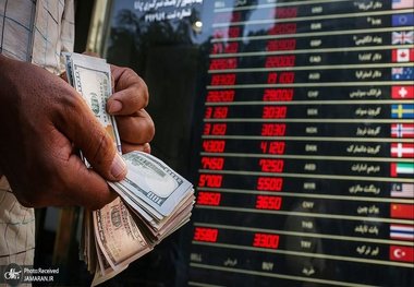 هشدار بانک مرکزی: خرید هیجانی ارز در نرخ‌های بالا پرریسک است  
