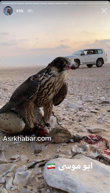 استوری برادر امیر قطر از حضور در ایران و شکار پرنده در جزیره ابوموسی