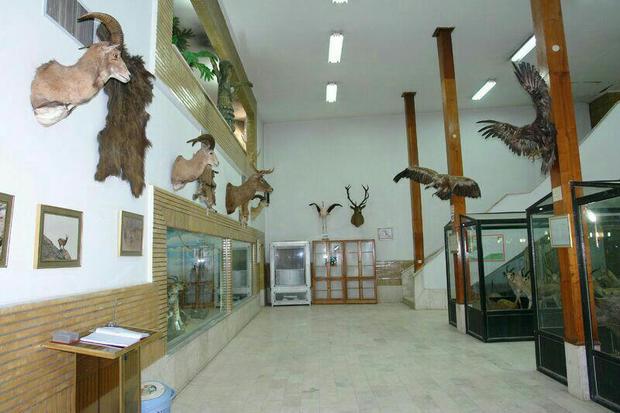 موزه تاریخ طبیعی زنجان در ایام نوروز پذیرای بازدیدکنندگان است
