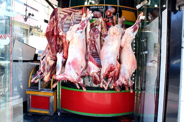 توزیع گوشت گرم وارداتی در بازار زنجان به شرط تقاضا