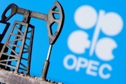 تصمیم برخی اعضای اوپک‌پلاس برای کاهش دوباره تولید نفت
