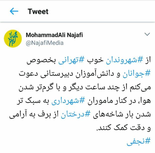 دعوت نجفی از جوانان تهرانی برای کمک به شهرداری در تکاندن برف درختان
