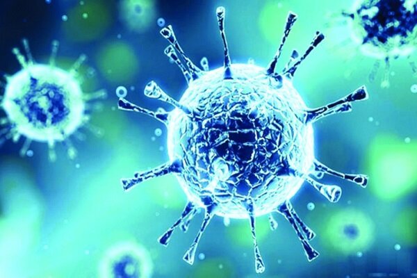 ۳ مورد جدید ابتلا به کرونا ویروس در استان بوشهر شناسایی شد