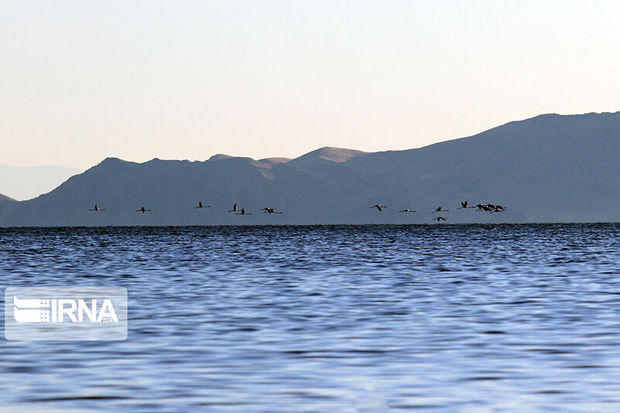 کاهش ۳ سانتی‌متری ارتفاع آب دریاچه ارومیه