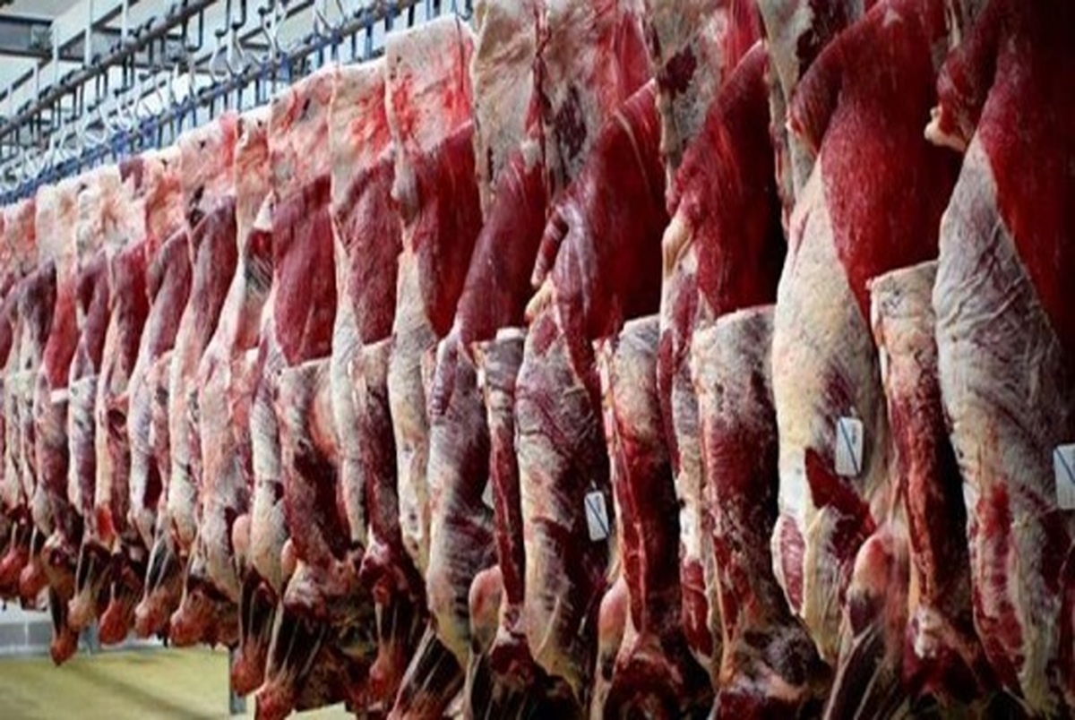 قیمت هر کیلو گوشت گوسفندی چقدر است؟