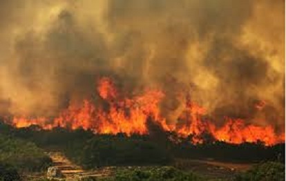 آتش سوزی تالاب بین المللی گندمان  کنترل و مهارشد