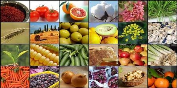 افزایش 3 درصدی صادرات محصولات کشاورزی از گمرکات آذربایجان شرقی