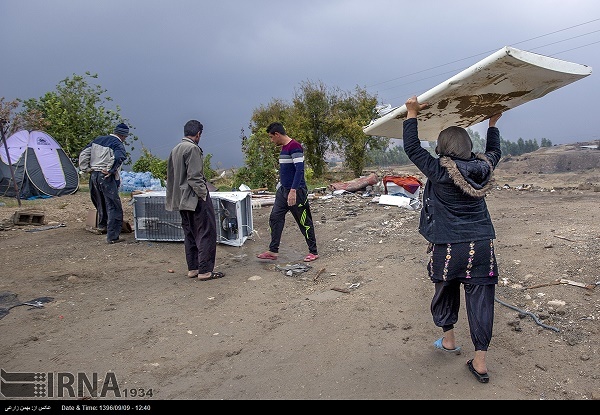 پوشش 67 زن سرپرست خانوار در مناطق زلزله زده استان