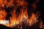 منابع طبیعی همدان مستعد آتش‌سوزی