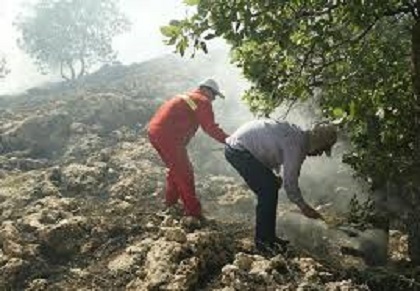 آتش سوزی در جنگل‌ها و مراتع کوه عنا در باشت مهار شد