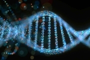 DNA تصمیم‌گیری کشف شد
