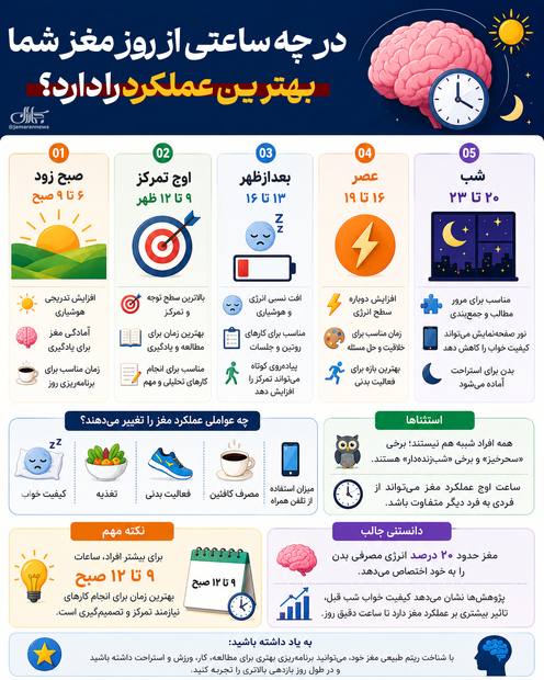 در چه ساعتی از روز مغز شما بهترین عملکرد را دارد؟