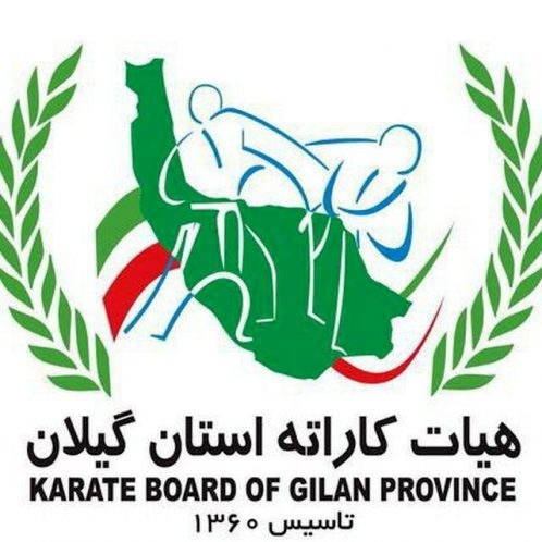 کسب 4 مدال رنگارنگ توسط کاراته‌کاران گیلانی در جام وحدت