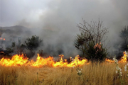 آتش ۱۰۰هکتار از باغ‌های میناب را سوزاند