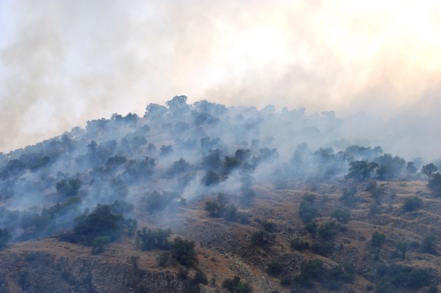 آتش سوزی بخشی از اراضی ملی روستای سلولی خراسان شمالی را فرا گرفت