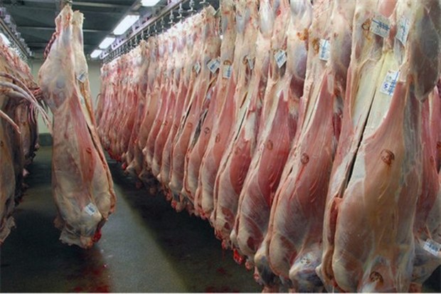 500 کیلوگرم گوشت مسموم در کشتارگاه اردکان معدوم شد