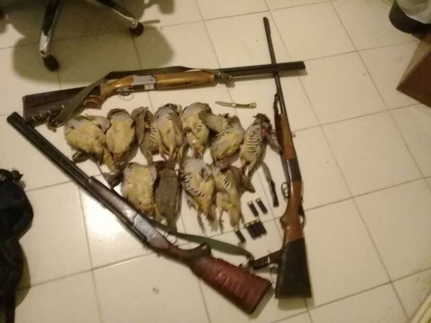 شکارچیان غیرمجاز پرنده در البرز دستگیر شدند