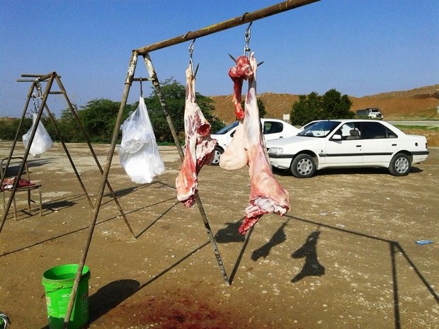توزیع کنندگان گوشت های مشکوک با کارشناسان دامپزشکی ایلام درگیر شدند
