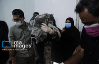 شناسایی شهدای دبستان میناب (17)