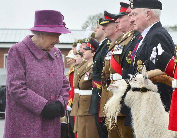 عکس/ دیدار ملکه انگلیس با بُز سلطنتی