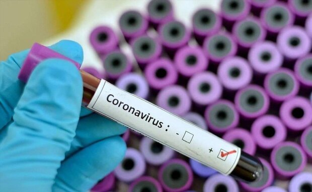 موارد مشکوک به کرونا ویروس در بابل هنوز تایید نشده است