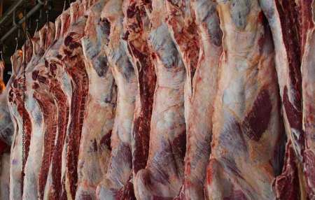 ورود نخستین محموله گوشت گرم گوسفندی وارداتی به بازار زنجان
