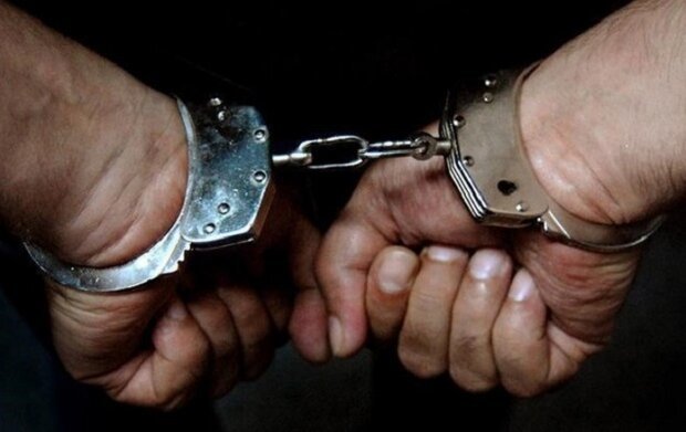 دستگیری ۱۰ سارق طی ۲۴ ساعت گذشته در ملایر