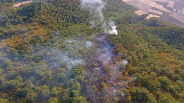 وقوع آتش سوزی در ارتفاعات جنگلی کلاله در شرق گلستان