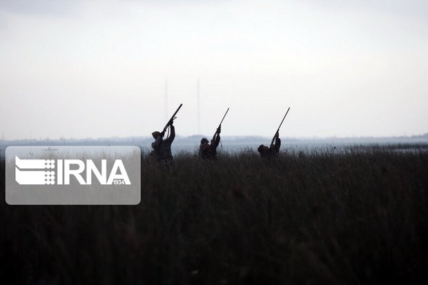۶ شکارچی غیرمجاز در مازندران دستگیر شدند