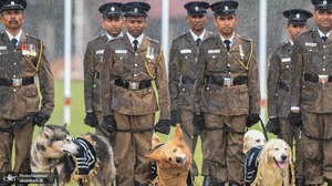 منتخب تصاویر امروز جهان - 13 شهریور 1401