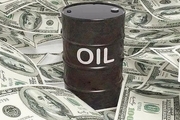 از نظر دولت دلار و نفت سال آینده چه قیمت و وضعیتی دارد؟/ پیش بینی و توضیحات یک نماینده مجلس