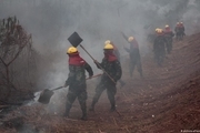 آتش آمازون دامان رئیس جمهور برزیل را گرفت؛اعتراض کشاورزان و سیاستمداران برزیلی
