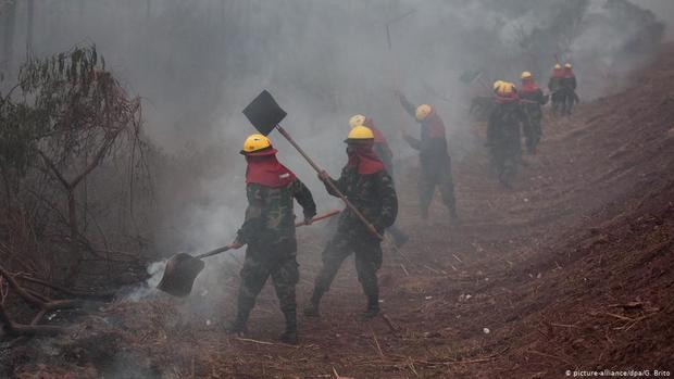 آتش آمازون دامان رئیس جمهور برزیل را گرفت؛اعتراض کشاورزان و سیاستمداران برزیلی
