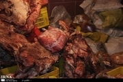 18هزار تن فرآورده گوشتی فاسد در کهگیلویه و بویراحمد کشف شد