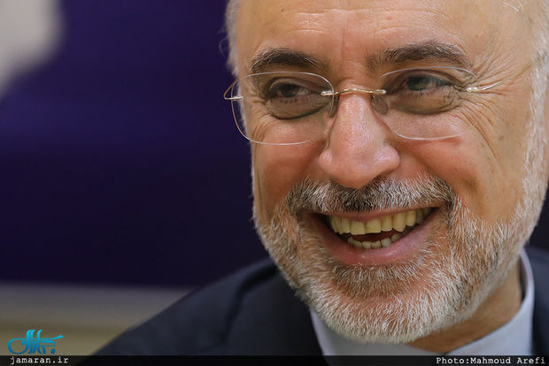 علی اکبر صالحی هم کاندیدای انتخابات 1400 می شود؟
