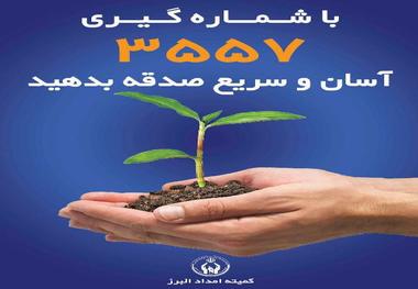 طرح پرداخت تلفنی صدقه در البرز به اجرا درآمد