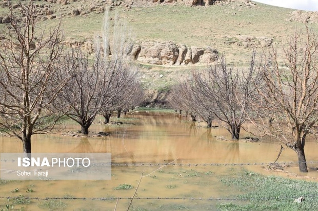 خسارت 190 میلیارد تومانی سیلاب به بخش کشاورزی آذربایجان غربی