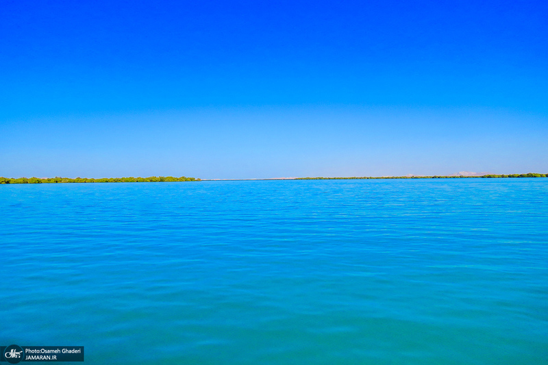 جنگل حرا قشم