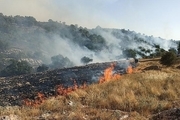 فیلم/ آتش شبانه جنگل های زاگرس در گچساران را بلعید/ تقاضای فعالان حاضر در منطقه از نیروهای نظامی برای کمک به اطفای حریق