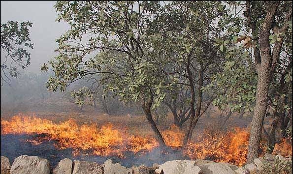 آتش‌سوزی گسترده در پارک‌ملی خَبْر بافت تلاش‌نیروهای امدادی برای مهار  آتش