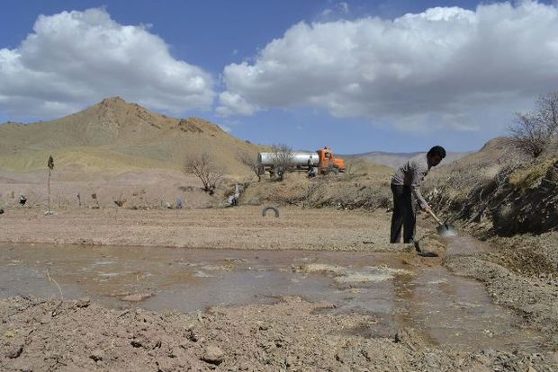 مدیر جهاد کشاورزی سرایان: آبرسانی با تانکر تنها راه نجات مزارع زعفران است