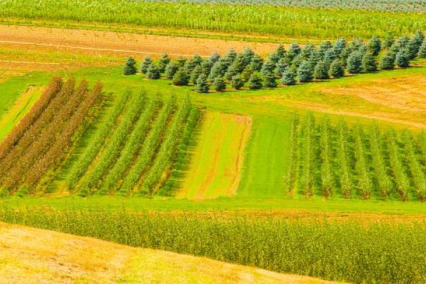 نخستین یگان حفاظت از اراضی کشاورزی کشور در قزوین راه اندازی شد