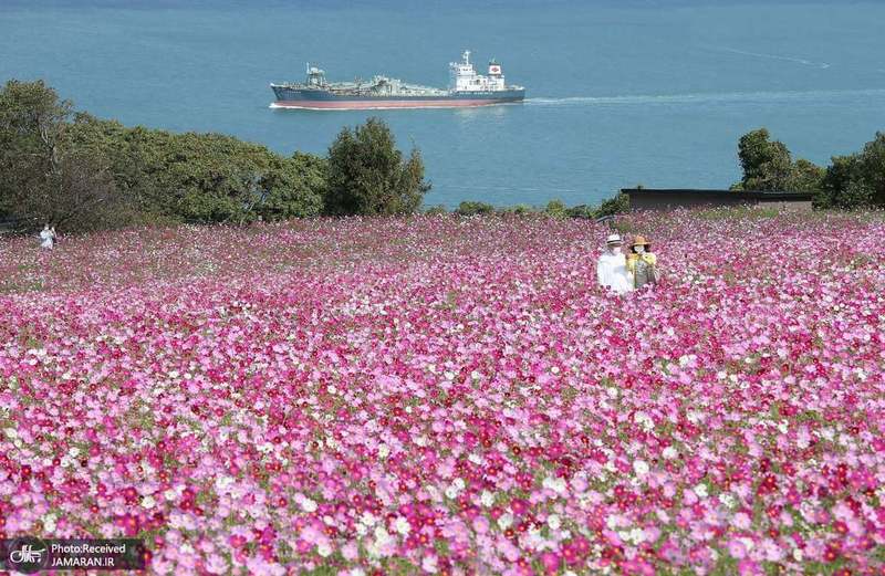 منتخب تصاویر امروز جهان- 25 مهر