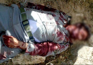 کشته‌شدن یک محیط‌بان در درگیری با اشرار در یزد